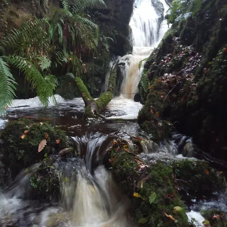 Chalé La La Land Ballyduff (Waterford)